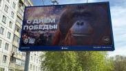 «Обезьяна и 9 Мая — несовместимы»: новосибирцы возмутились плакатом зоопарка в честь Дня Победы