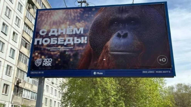Директор зоопарка извинился за баннер с орангутаном к 9 мая
