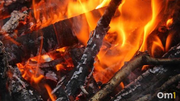 В Омской области егерь спас на пожаре семью с тремя детьми