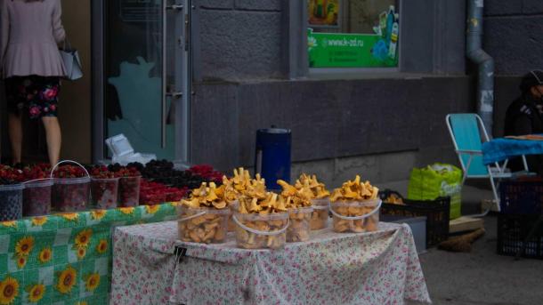 Грибники в Новосибирске продают геолокацию сморчков за 300 рублей