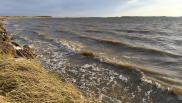 Вода в Оми пошла на спад: в двух сёлах уровень упал на 2–3 см