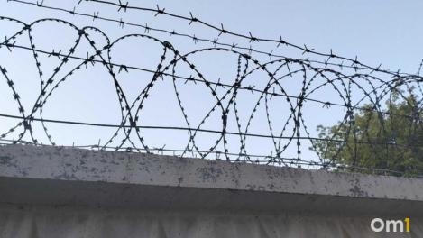 Два лося обошлись новосибирцу в 1,5 млн рублей: суд вынес приговор за незаконную охоту