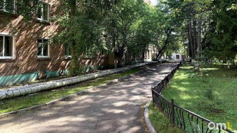 ОмГАУ снова в ТОП-20 RAEX: как вуз занял места по сельскому хозяйству и ветеринарии