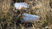 В омских парках и скверах будут чаще косить траву и вывозить мусор
