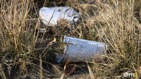 В омских парках и скверах будут чаще косить траву и вывозить мусор