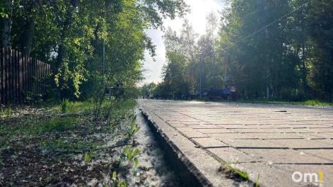 Тополиный пух, жара... и май. Типично летнее бедствие пришло в Омск раньше срока