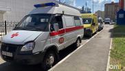 Смертельная опасность под ногами: в Омской области выросла доля клещей с энцефалитом