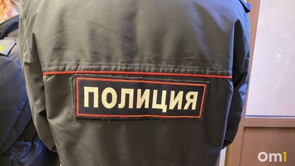 Появились подробности об исчезновении 21-летней омички
