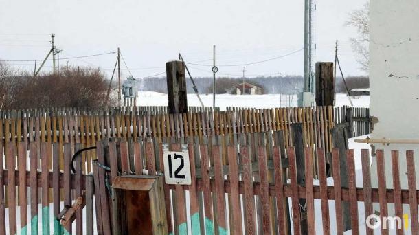 В Омске заметили лося на детской площадке. Как он попал внутрь ограждения? Загадка!