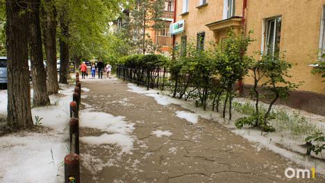 В Омске заметили первый тополиный пух