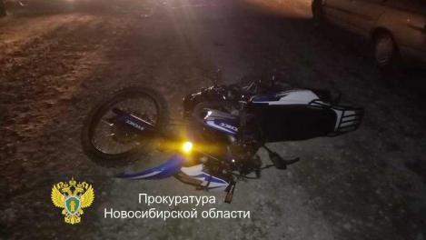 Смертельное ДТП с гужевой повозкой в Новосибирской области: виновник получил два года колонии-поселения