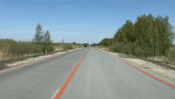 Экотуризм в Новосибирской области: дорогу к заказнику «Кирзинский» сделают асфальтовой