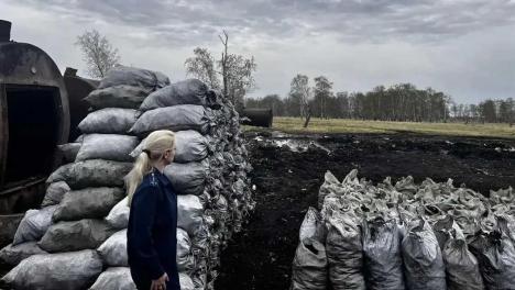 Житель Омской области устроил завод по производству угля в заказнике «Высокий увал»