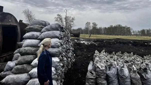 Житель Омской области устроил завод по производству угля в заказнике «Высокий увал»