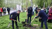 Мэр Максим Кудрявцев посадил дерево в сквере Героев Донбасса в рамках акции «Сад Памяти» в Новосибирске