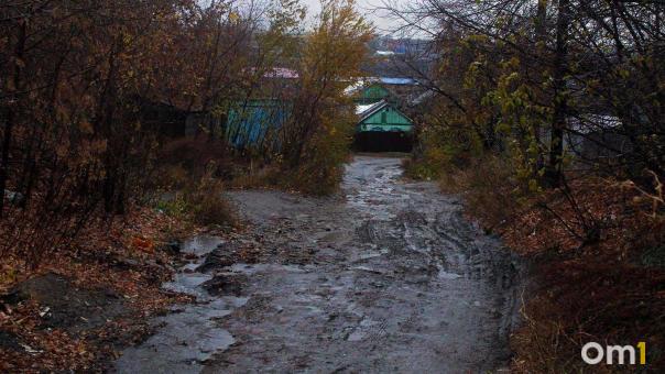 Дорогу в омском селе размыло так, что жители дошли до Бастрыкина