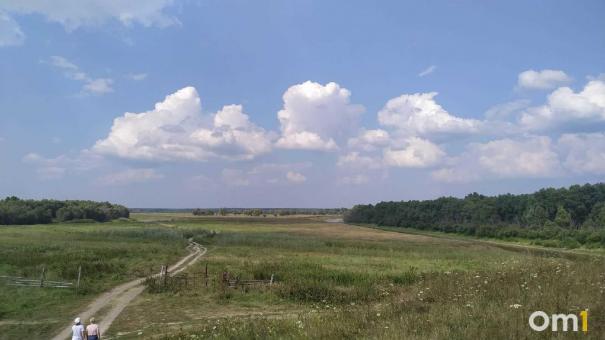 Под Омском сдают в аренду охотугодья с тысячами животных