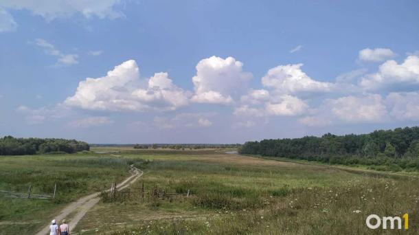 Под Омском сдают в аренду охотугодья с тысячами животных