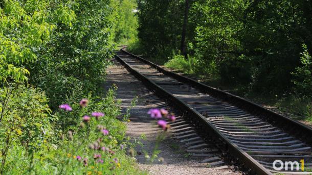В Омске задержали подростка, устроившего диверсию на железной дороге