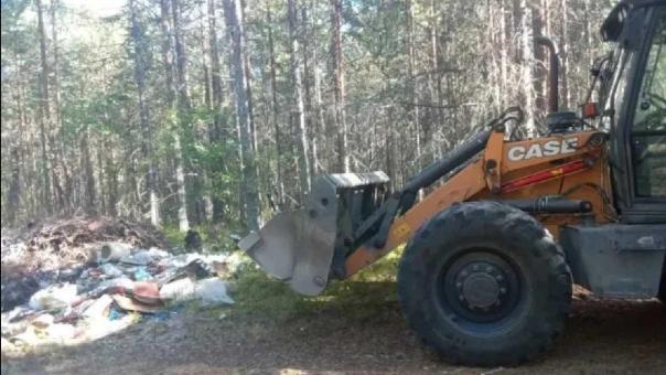 В Омской области через суд ликвидировали четыре «вечных» свалки в лесах