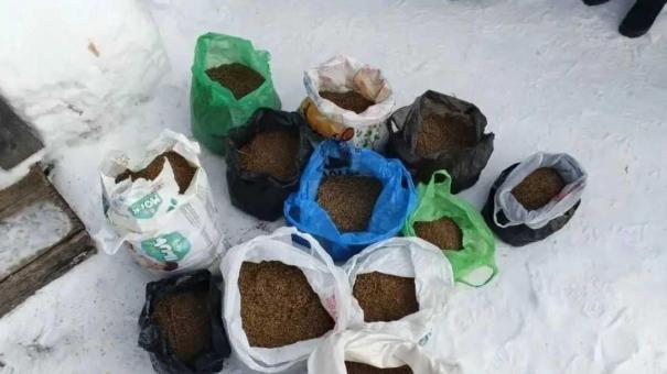 Полиция изъяла 15 пакетов марихуаны: что грозит 56-летнему новосибирцу