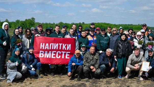 Компания «Напитки Вместе» высадила в Омской области 16 тысяч сосен
