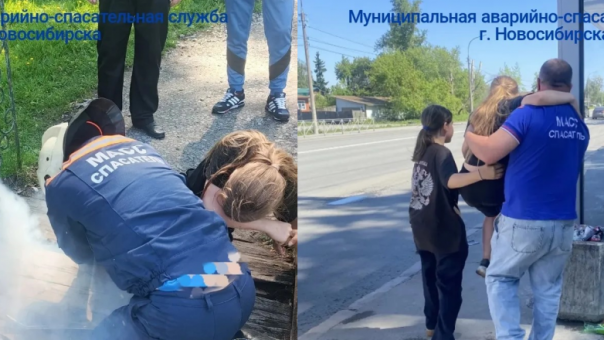 Одна пропавшая дощечка: десятилетняя девочка застряла ногой в мосту в Новосибирске
