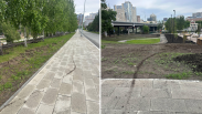 «Скорость доставки не должна бить по городскому имуществу»: новосибирским велокурьерам закроют проезд по газонам в парке Бугакова