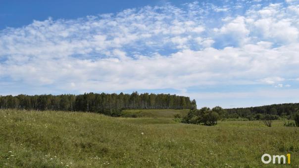 Закончил 9 класс, помогал маме и встречался с девушкой: история застреленного охотниками подростка в Кузбассе