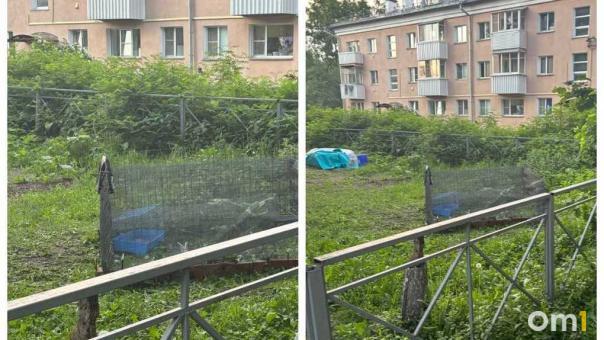 «Курорт» с кроликами, бассейном и мангалом устроили новосибирцы во дворе жилого дома