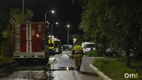 В Омской области за неделю в пожарах погибли три человека