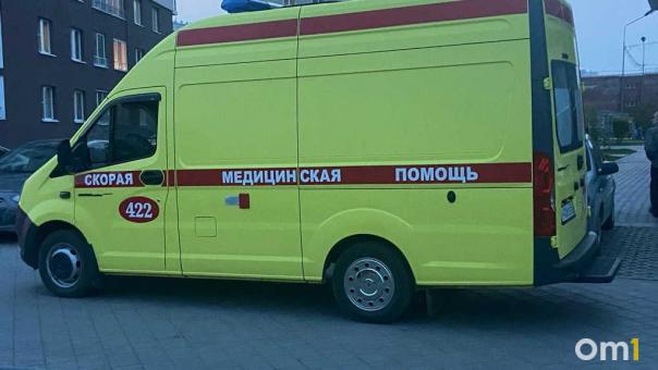 Стали известны подробности родов во дворе дома в Новосибирске