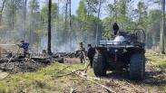 Грозы спровоцировали два лесных пожара в Омской области