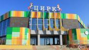 В Омском цирке пропала лошадь