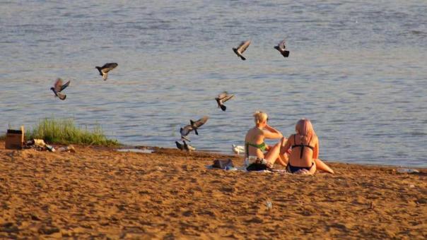Извращенцы или свободные люди: новосибирцы спорят о морали нудистского пляжа