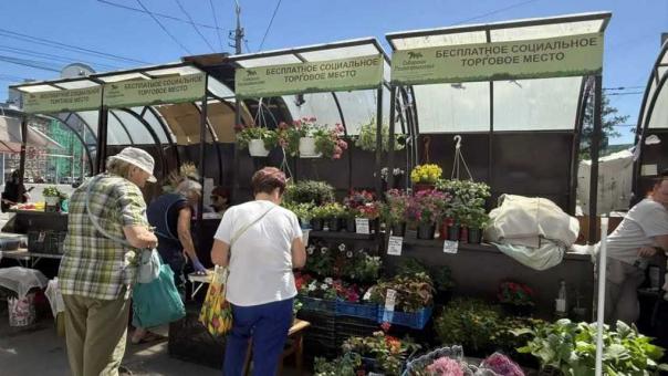 Опасная продукция без документов: стихийную торговлю пресекли в Новосибирске во время очередного рейда