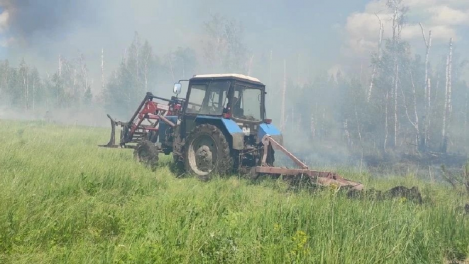 Гроза спровоцировала лесной пожар в Называевском районе