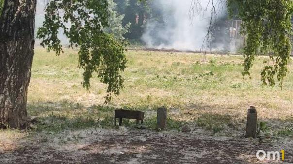 «Это уже второй раз за неделю»: в Новосибирске снова горит тополиный пух на Полтавской
