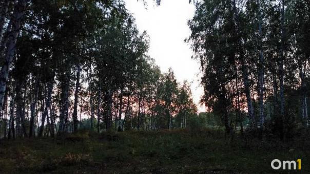 В Омской области заметили опасного хищника