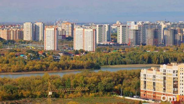 На Левобережье в Омске заметили редкую горную птицу
