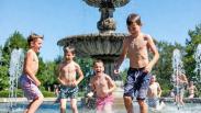 В Новосибирской области прогнозируют аномальную жару до +32 °C