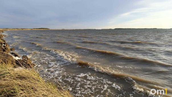 Трое неизвестных мужчин устроили стрельбу по отдыхающим в Новосибирской области
