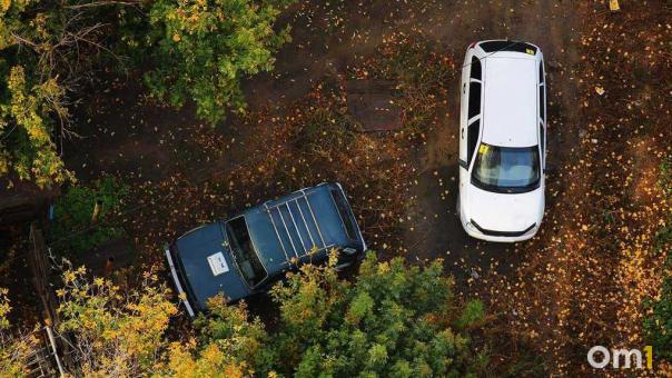 На месте заброшенных дач под Омском хотят построить автостоянку