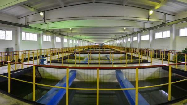 Более 12 млн кубометров воды подал омский водоканал в июне