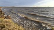 Утреннее купание на Новосибирском водохранилище закончилось страшной находкой