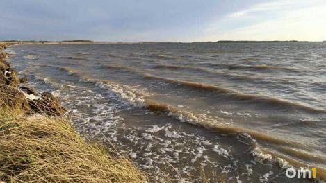 Утреннее купание на Новосибирском водохранилище закончилось страшной находкой