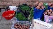 В Омской области резко подорожал картофель