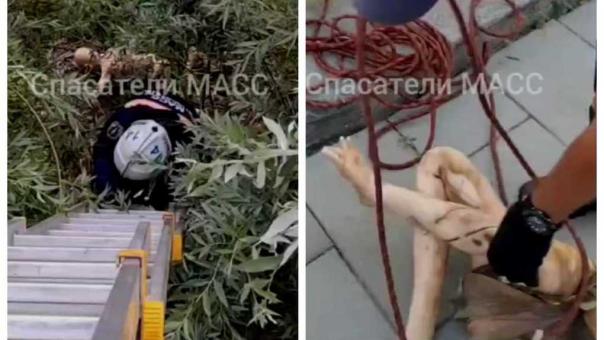 Новосибирцы заметили пустую коляску и женскую фигуру — на место вызвали спасателей