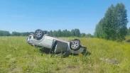 В Омской области на трассе перевернулась иномарка. В ней погибли два человека