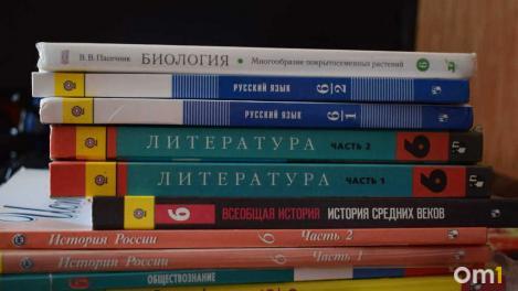 Лидер группы «Руки вверх!» перевёл дочь на домашнее обучение из-за буллинга